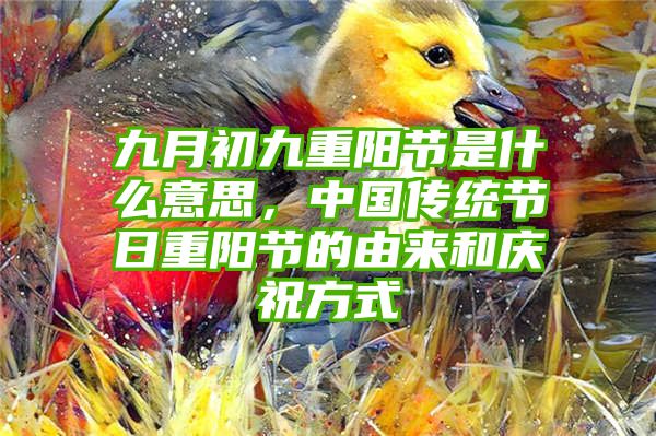 九月初九重阳节是什么意思，中国传统节日重阳节的由来和庆祝方式
